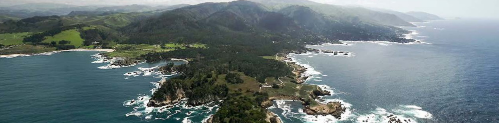 Big Sur en Riesgo de Extinción