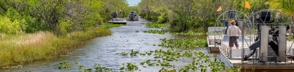 Florida Everglades en Riesgo de Extinción