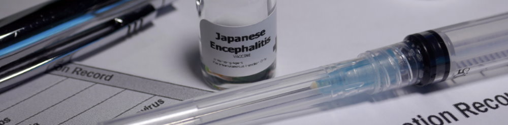 vacuna encefalitis japonesa