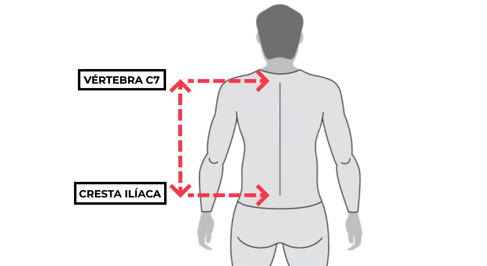 como medir torso