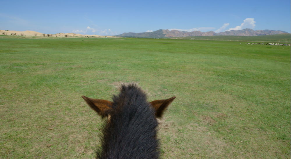 mongolia viaje