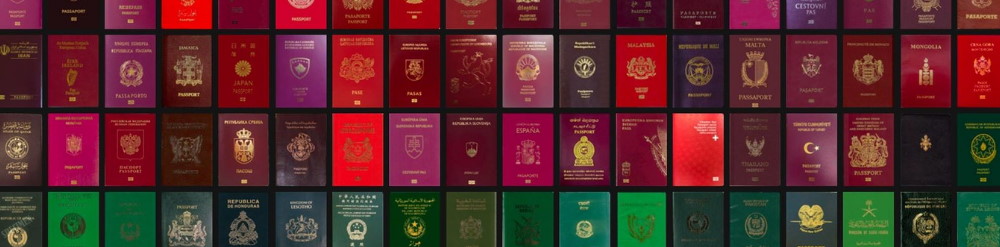 tipos de pasaporte